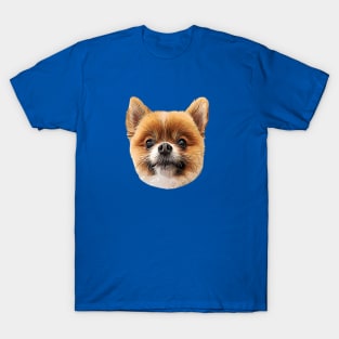 Pomeranian Cute Puppy Dog Pom T-Shirt
